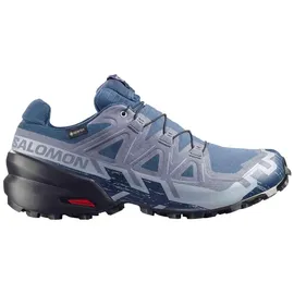 Salomon Speedcross 6 Gore-Tex Herren Spellbound/Black/Tradewinds 41 1/3