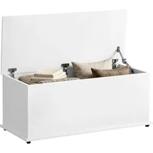 Homcom Sitzbank Aufbewahrungsbox Weiß 100 x 40 x 40 cm