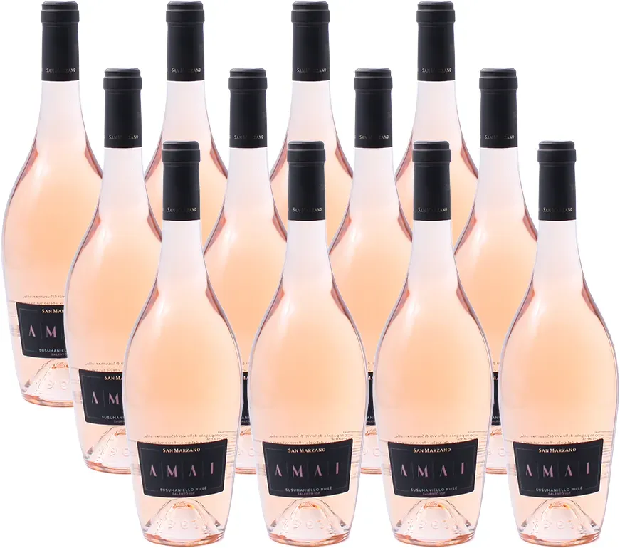 12er-Sparpaket San Marzano Amai Susumaniello Rosé IGP 2025