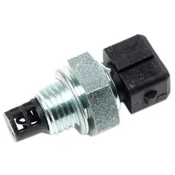 KW Sensor, Ansauglufttemperatur BMW 494 038 13627792203,7792203