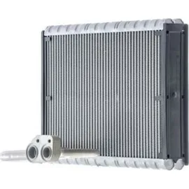 mahle AE 169 000P