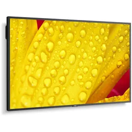 NEC MultiSync ME431 43"