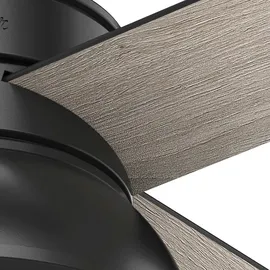 Hunter Loki 132 cm Deckenventilator Schwarz