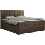 MKS Boxspringbett 160 x 200 cm H3 Braun