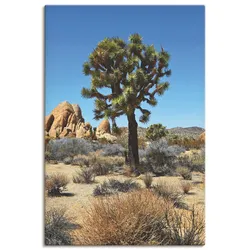 Artland Leinwandbild »Joshua Tree in der Mojave Wüste III«, Wüste, (1 St.), auf Keilrahmen gespannt Artland Farbe Bild(er): blau