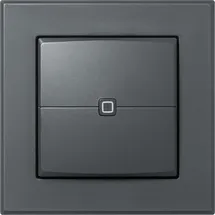 eQ-3 Homematic IP Smart Home Wandtaster HmIP-WRC2-A, 2-fach, anthrazit