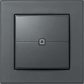 eQ-3 Homematic IP Smart Home Wandtaster HmIP-WRC2-A, 2-fach, anthrazit