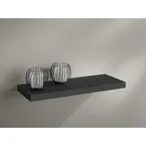 Dolle Wohnregale Wandregal 115 x 23,5 x 3,8 cm Schwarz