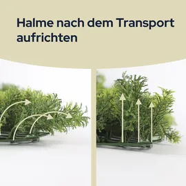 Primaflor Kunstpflanzen Wand Spring, | 100x100 cm,