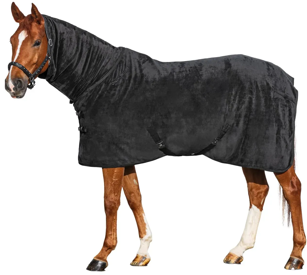 Cheval de Luxe Abschwitzdecke Full-Neck schwarz 155 cm