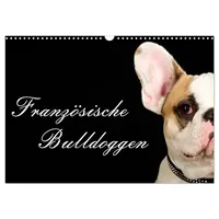 Calvendo Französische Bulldoggen (Wandkalender 2026 DIN A3 quer), CALVENDO