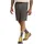 Jack Wolfskin Celebrate The Paw Shorts M flint