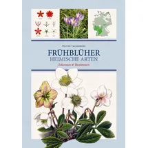 favoritenpresse gmbh Frühblüher. Heimische Arten.