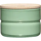RIESS Vorratsdose mit Eschenholzdeckel 270ml green (2171-202)