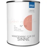 PNZ - Die Manufaktur Wandfarbe Colors of Intuition, reine Silikatfarbe, hochdeckend, große Farbtiefe orange