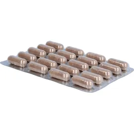 Cellavent Healthcare Cherry Plus Das Original Silence Kapseln 60 St.