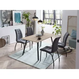 Möbilia Stuhl 2er-Set 42x103 cm