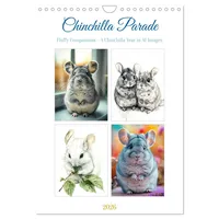 Calvendo Chinchilla Parade (Wall Calendar 2026 DIN A4 portrait),
