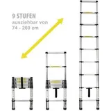 Eaxus 83880, 2,6m, aus Aluminium mit 9 Sprossen