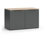 Vicco Kommode Wido Anthrazit 80 x 50 cm mit 2 Türen