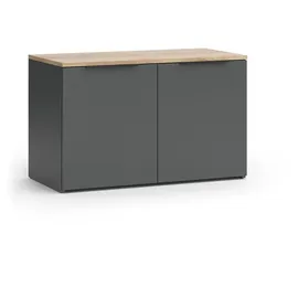Vicco Kommode Wido Anthrazit 80 x 50 cm mit 2 Türen