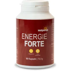 Wellpursan Energie forte Kapseln 90 St
