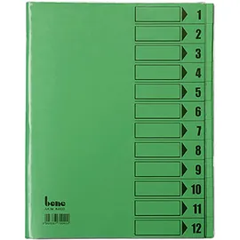 BENE Ordnungsmappe 12 Fächer grün