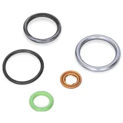 ELRING Dichtungssatz, Einspritzdüse MERCEDES-BENZ,WESTERN STAR,SETRA 841.360 4600700987,A4600700987