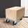 ECD Germany Transportroller 800 kg