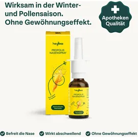 beelife ag heybee Propolis Nasenspray