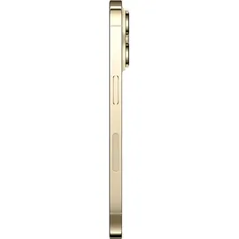 Apple iPhone 14 Pro Max 1 TB Gold