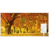 Heidenfeld Infrarotheizung HF-HP105, mit Bild, 16 Motive, 10 J. Garantie, Thermostat, Wandmontage (1000 Watt, Herbst)
