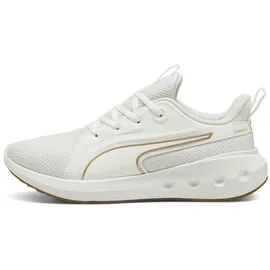 Puma Softride Carson Laufschuhe 07 8