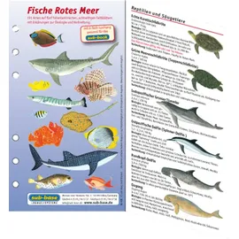 Sub-Base Fischkartenset Rotes Meer
