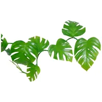Lucky Reptile Rankenpflanze Pothos