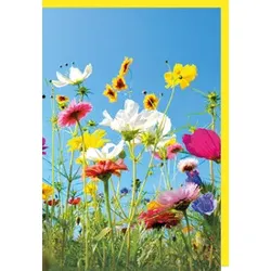 Allgem.Glückwunschkarte ohne Text BRAUN+COMPANY 5415-23029 Bild