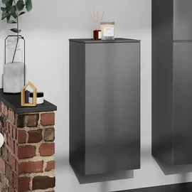 Hansgrohe Xevolos E Hängeschrank, 1 Tür, 54214770,