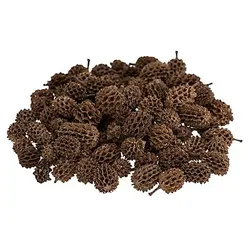 Mini-Zapfen, braun, 50 g