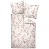 JANINE Davos 65036 granatrose (155x200+80x80cm)