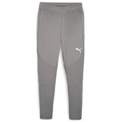 Puma Teamfinal Training Pants cast iron-puma silver (13) XL
