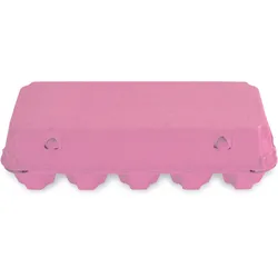 10er Eierschachteln, pink, unbedruckt, 154 Stück