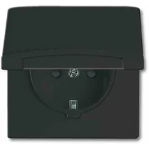 Busch-Jaeger Steckdoseneinsatz IP44 anthrazit 1 St.