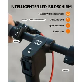 5thwheel E-Scooter 5th Wheel V30 Pro 350W 10 Zoll App Blinker Federung