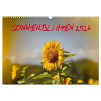 Calvendo Sonnenblumen 2026 (Wandkalender 2026 DIN A3 quer), CALVENDO