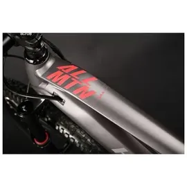 Haibike ALLMTN 2 pebble/black/red matt 2025 XL