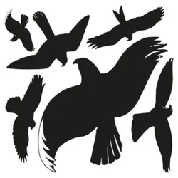 Fensterbild Raubvogel sort.sw ZWECKFORM 4485 versch. Gr. 6ST