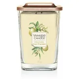 Yankee Candle Citrus Grove Duftkerze 552g