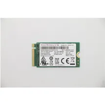 Lenovo UMIS AM620 256 GB M.2