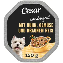 Cesar Hundefutter Nassfutter Huhn, Reis, Gemüse 14 x 150 g