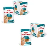 Royal Canin Ageing 11+ in Soße 24 x 85 g